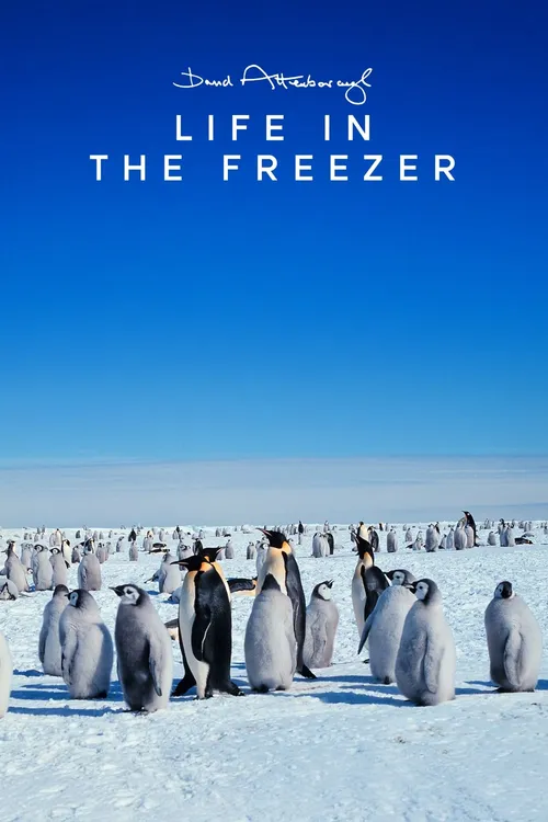 Life in the Freezer