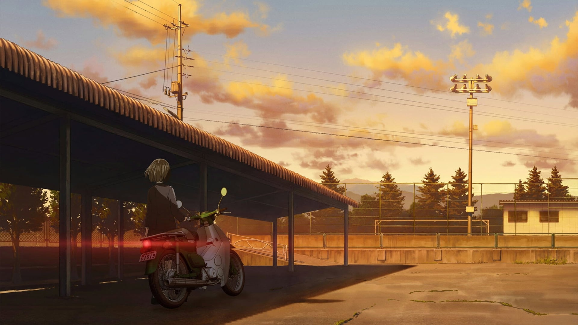 Foto do filme Super Cub